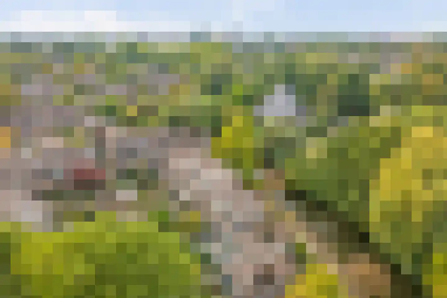 Koggewaard 30 Alkmaar thumbnail 51