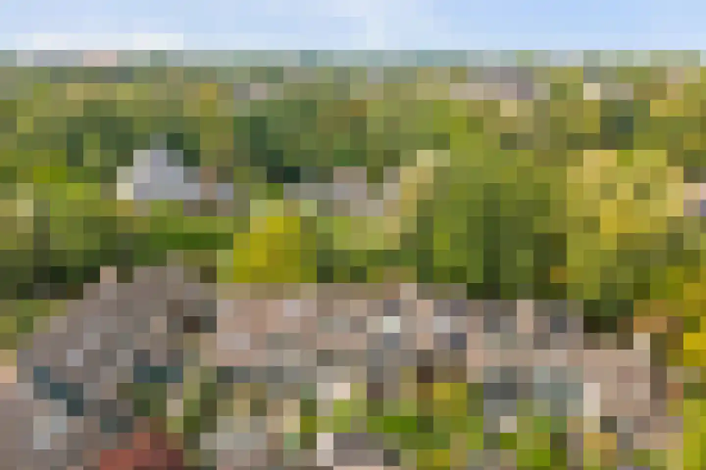 Koggewaard 30 Alkmaar thumbnail 52