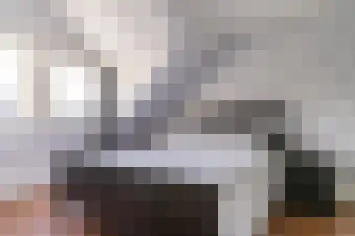 Koggewaard 40 Alkmaar thumbnail 17