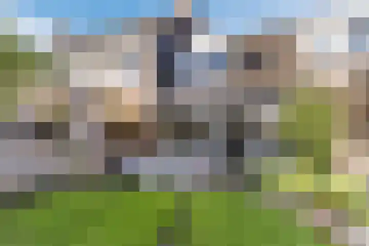 Koggewaard 40 Alkmaar thumbnail 29