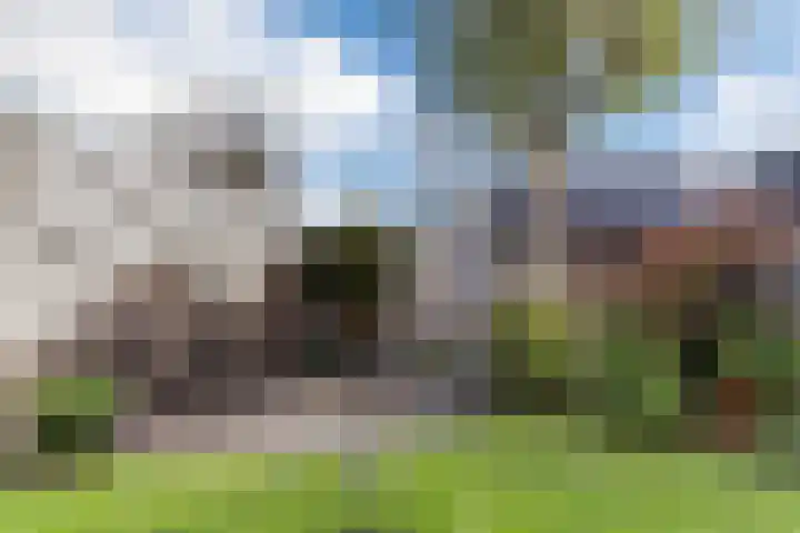 Koggewaard 40 Alkmaar thumbnail 30