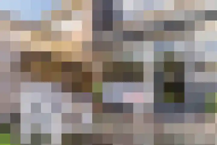 Koggewaard 40 Alkmaar thumbnail 31