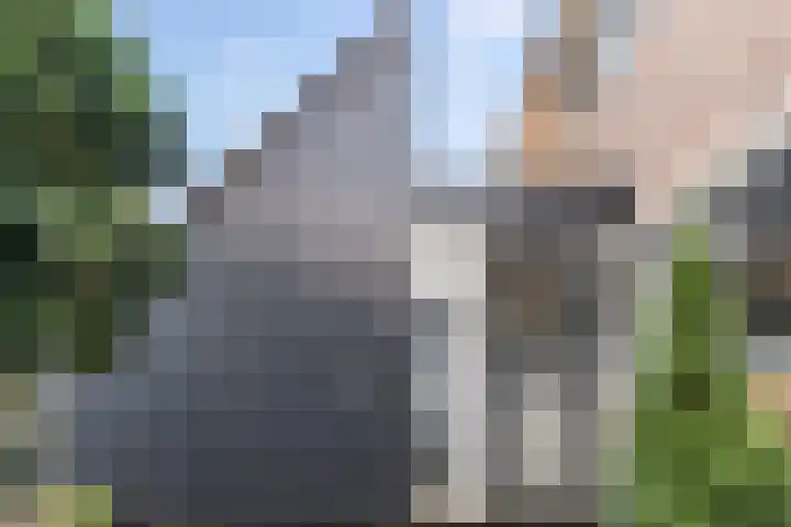 Koggewaard 40 Alkmaar thumbnail 33