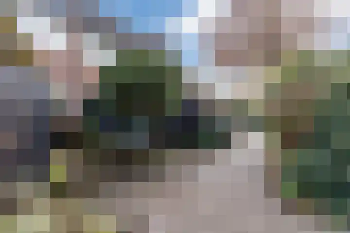 Koggewaard 40 Alkmaar thumbnail 34