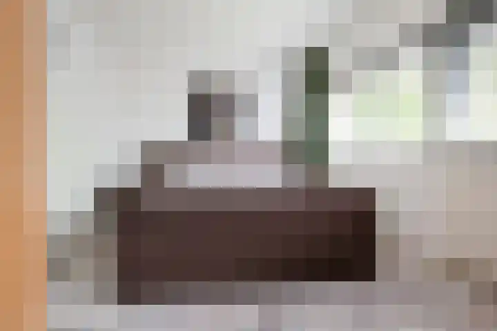 Koggewaard 44 Alkmaar thumbnail 30