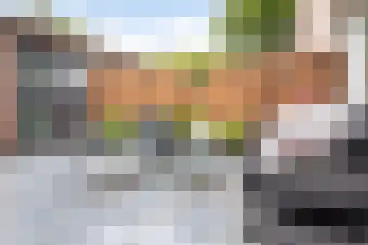 Koggewaard 44 Alkmaar thumbnail 41
