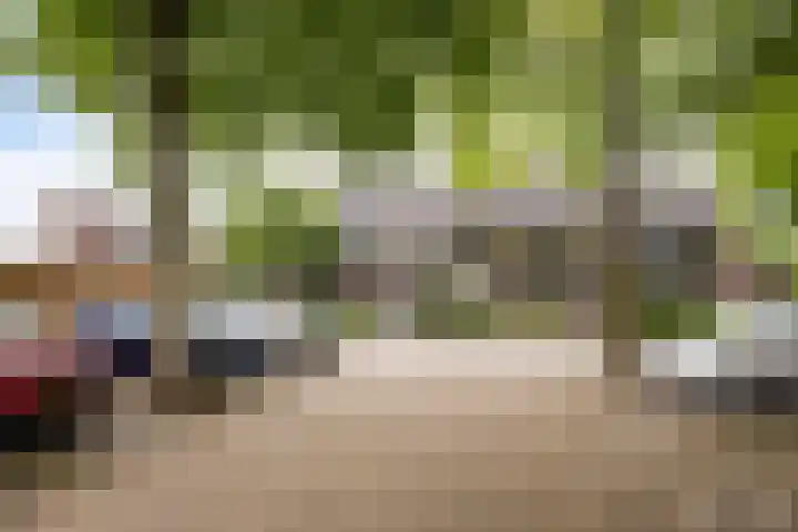 Koggewaard 44 Alkmaar thumbnail 6