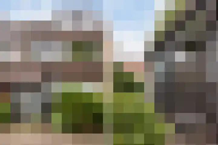 Koggewaard 44 Alkmaar thumbnail 7
