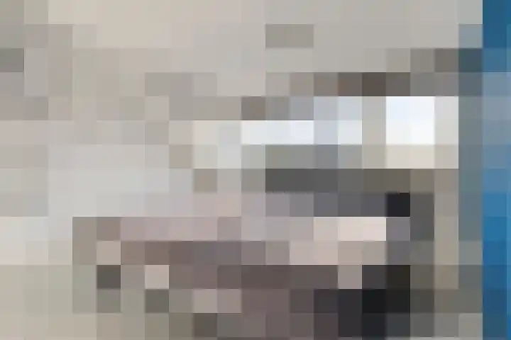 Koggewaard 56 Alkmaar thumbnail 19