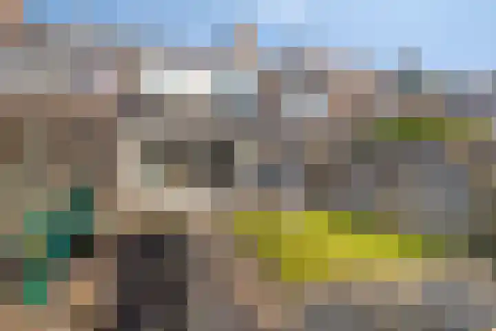 Koggewaard 56 Alkmaar thumbnail 32