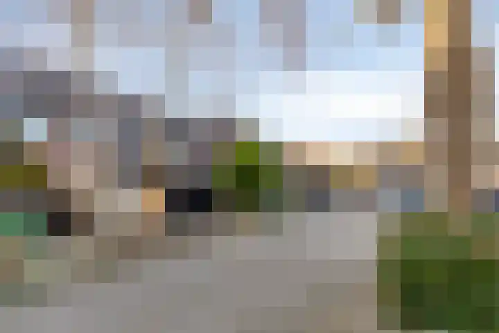Koggewaard 56 Alkmaar thumbnail 33