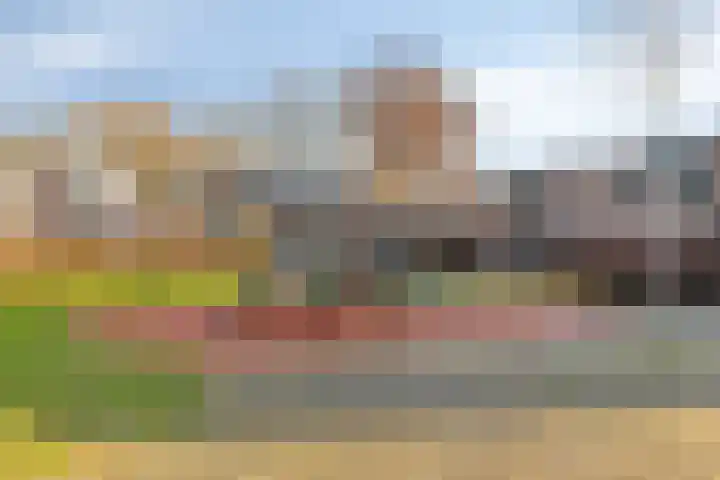 Koggewaard 56 Alkmaar thumbnail 35
