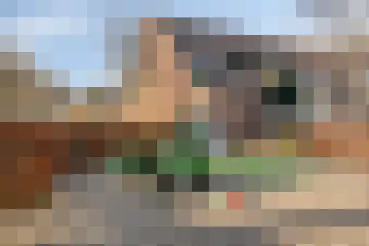 Koggewaard 56 Alkmaar thumbnail 36