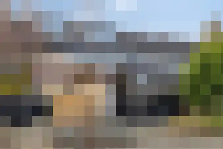 Koggewaard 56 Alkmaar thumbnail 4