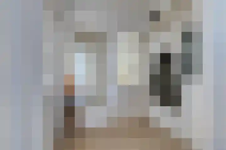 Koggewaard 56 Alkmaar thumbnail 6