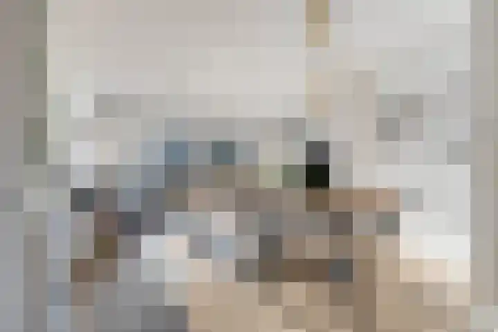 Koggewaard 56 Alkmaar thumbnail 8
