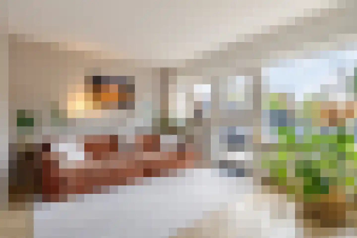 Koggewaard 62 Alkmaar thumbnail 16