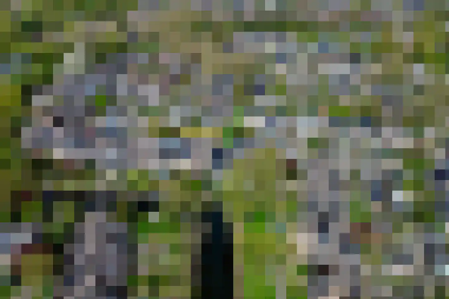 Koggewaard 62 Alkmaar thumbnail 21