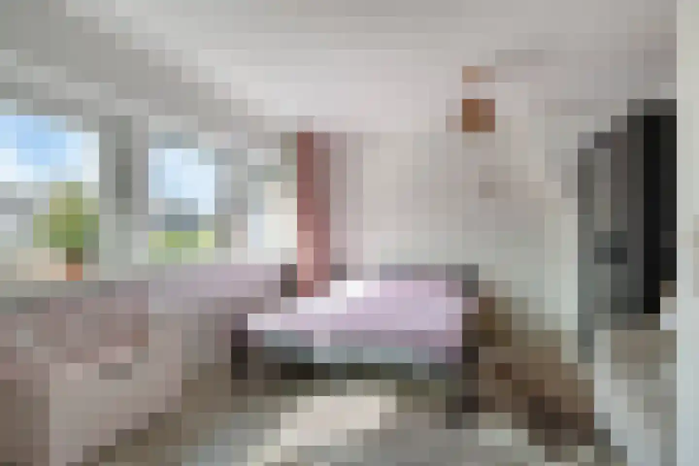 Koggewaard 62 Alkmaar thumbnail 24