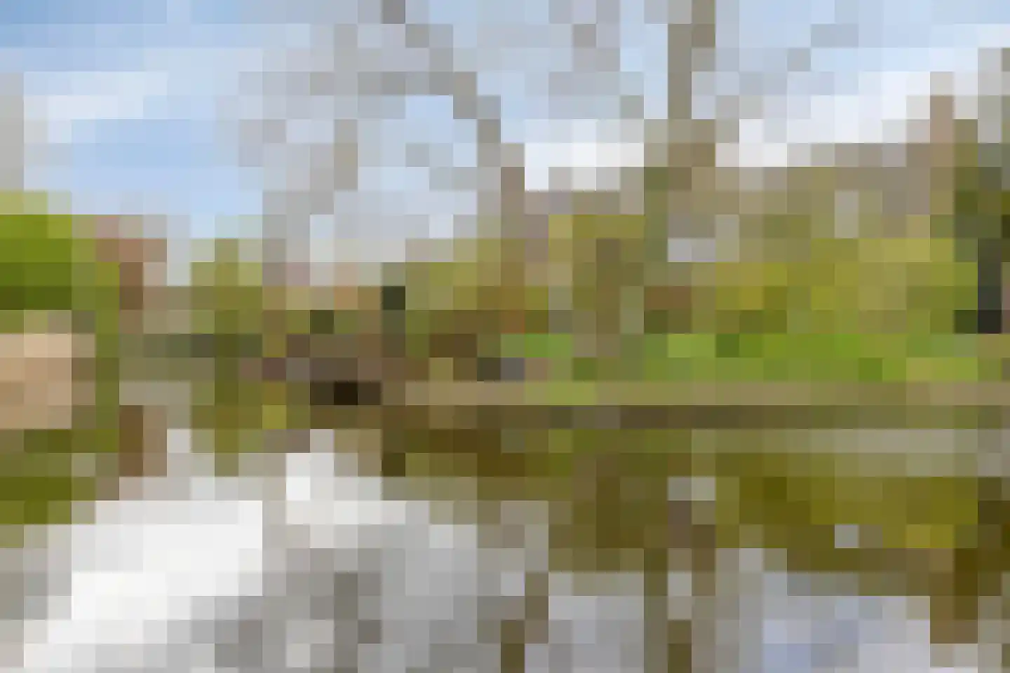 Koggewaard 62 Alkmaar thumbnail 39