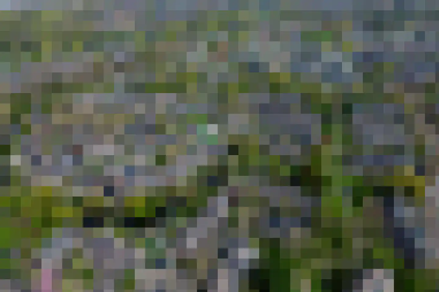 Koggewaard 62 Alkmaar thumbnail 41