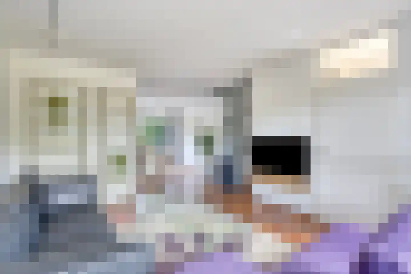 Koggewaard 69 Alkmaar thumbnail 12