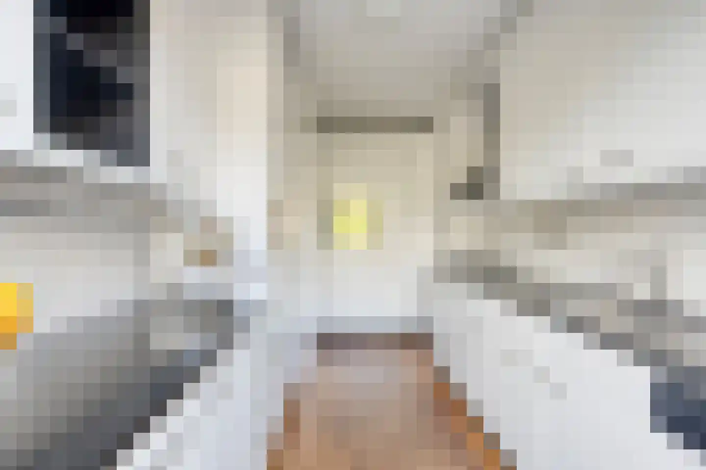 Koggewaard 69 Alkmaar thumbnail 16