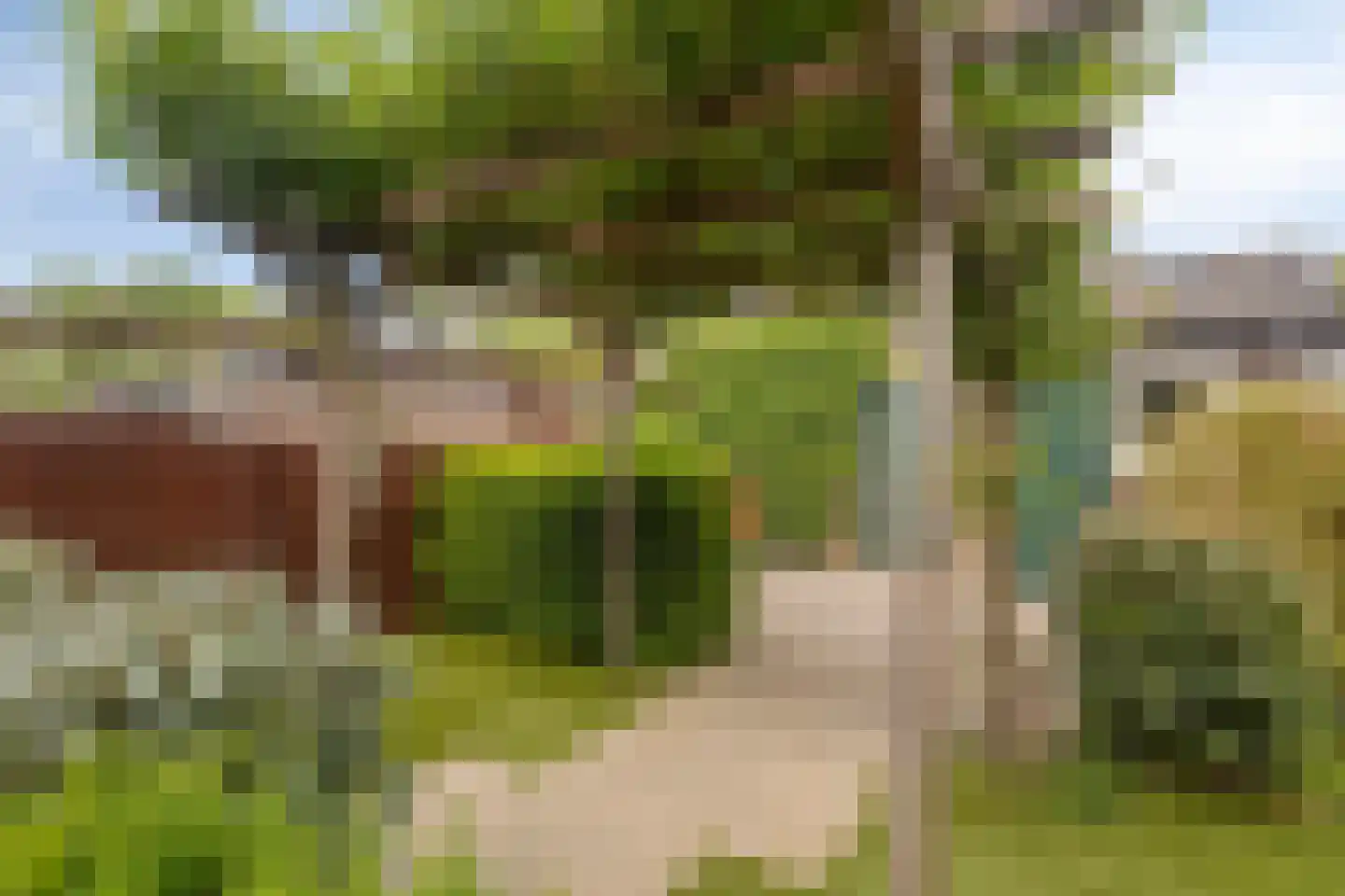 Koggewaard 69 Alkmaar thumbnail 19
