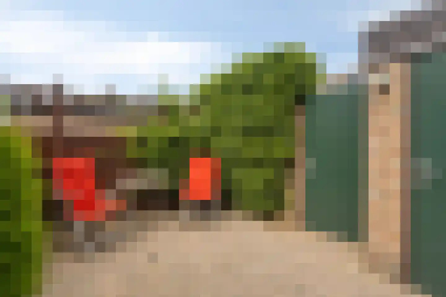 Koggewaard 69 Alkmaar thumbnail 20