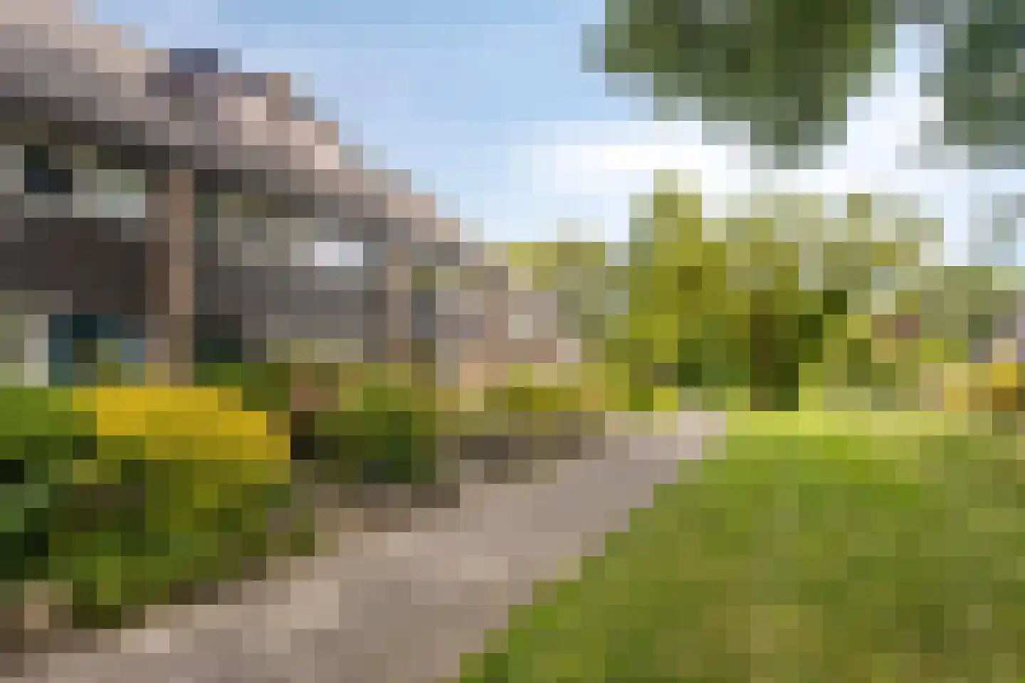 Koggewaard 69 Alkmaar thumbnail 44