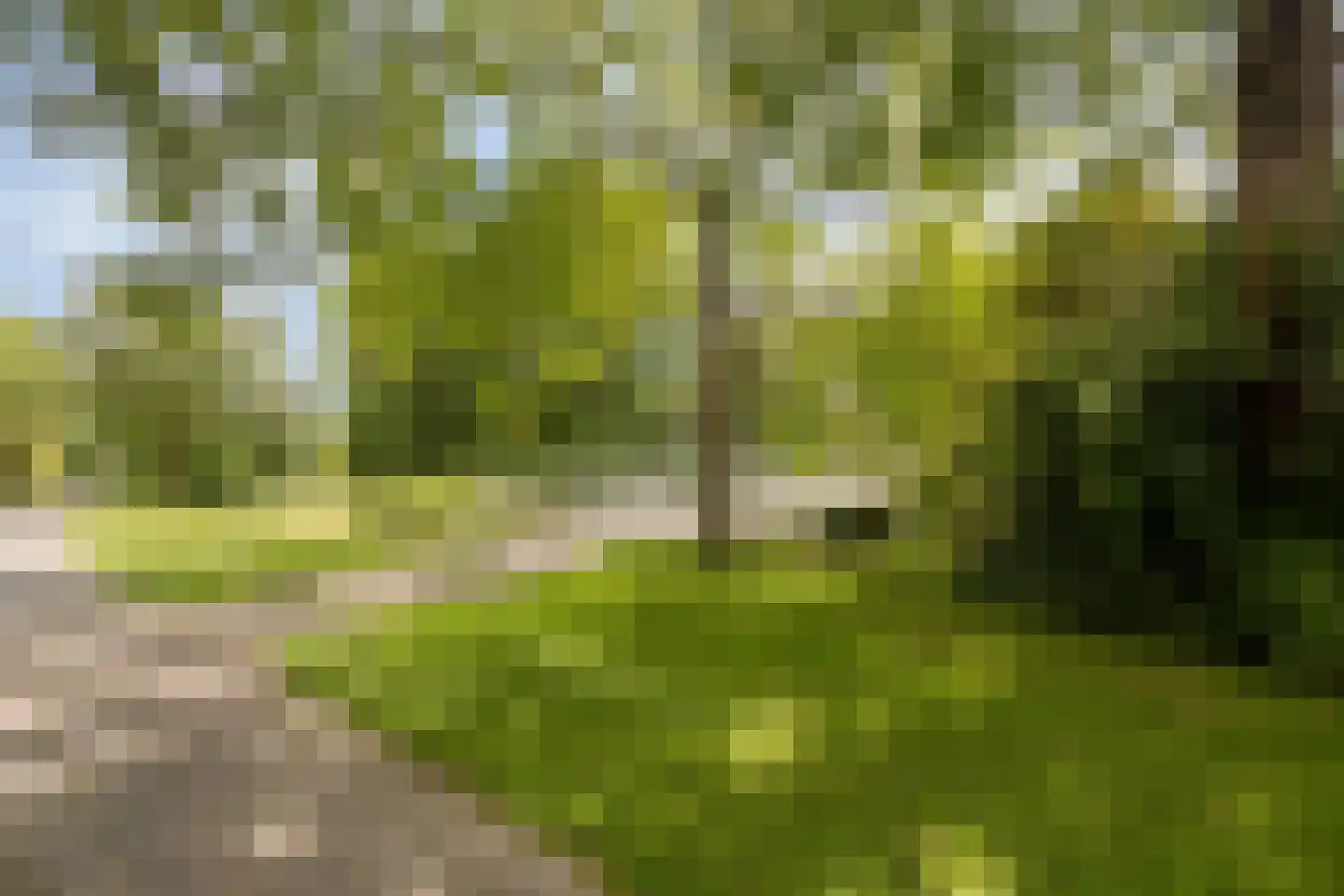 Koggewaard 69 Alkmaar thumbnail 46