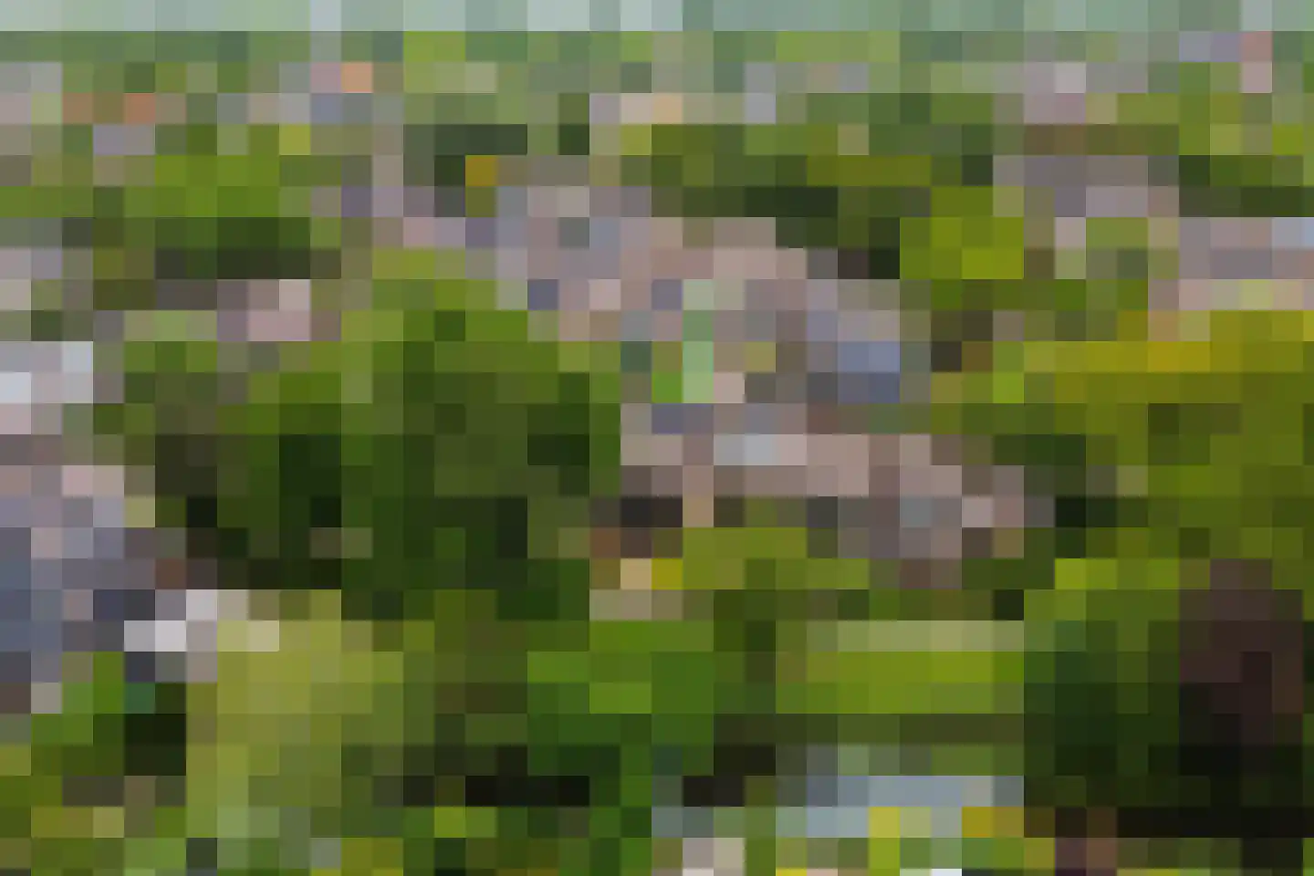 Koggewaard 69 Alkmaar thumbnail 5