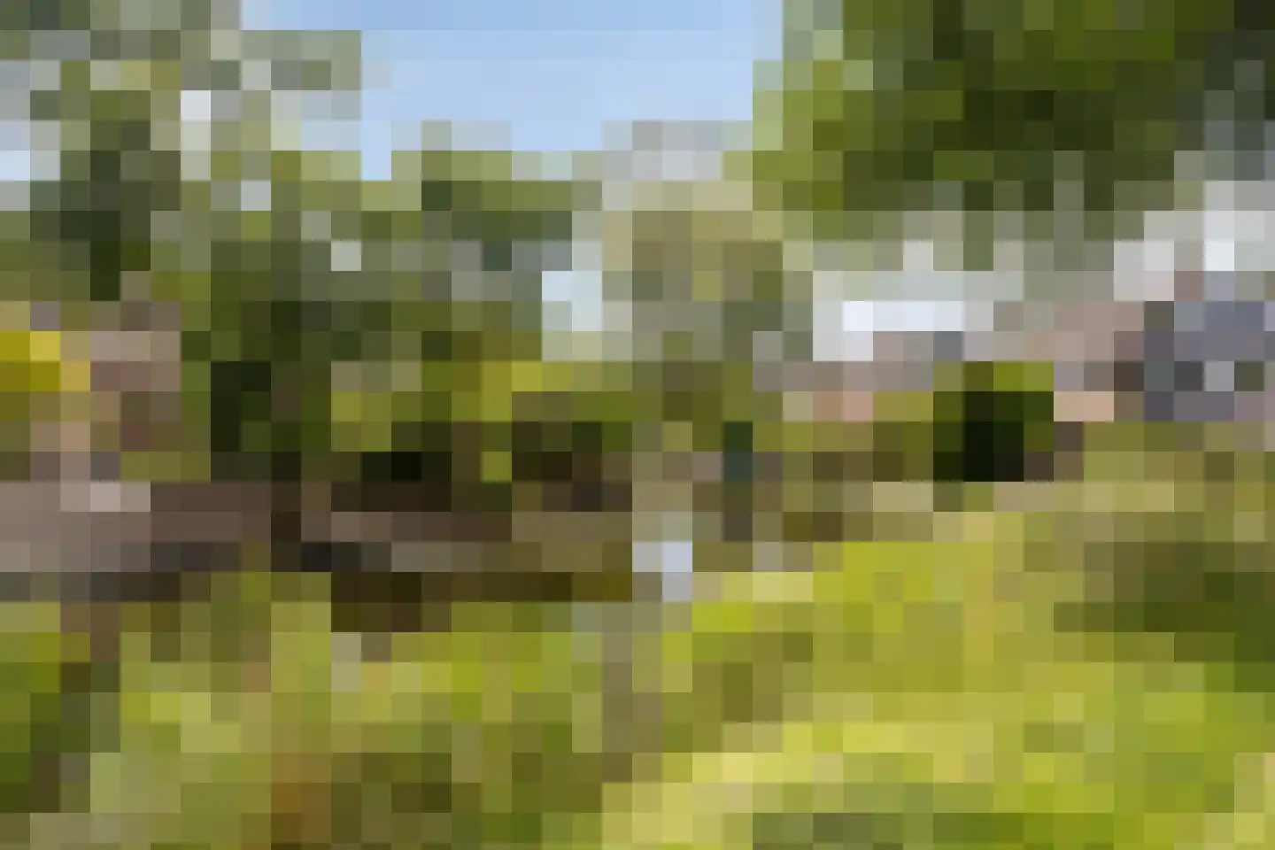 Koggewaard 69 Alkmaar thumbnail 6