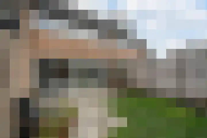 Koggewaard 90 Alkmaar thumbnail 21