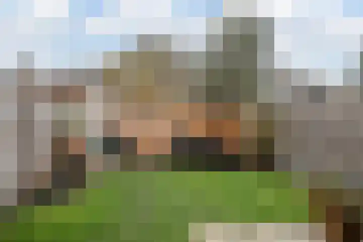 Koggewaard 90 Alkmaar thumbnail 23