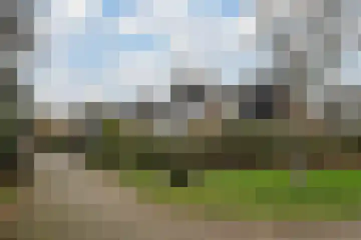 Koggewaard 90 Alkmaar thumbnail 28