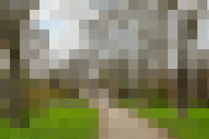 Koggewaard 90 Alkmaar thumbnail 29