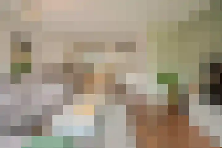 Koggewaard 90 Alkmaar thumbnail 4