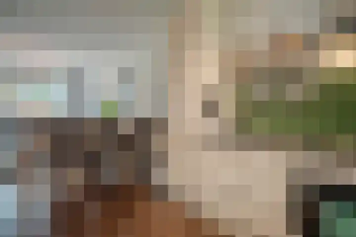 Koggewaard 90 Alkmaar thumbnail 6