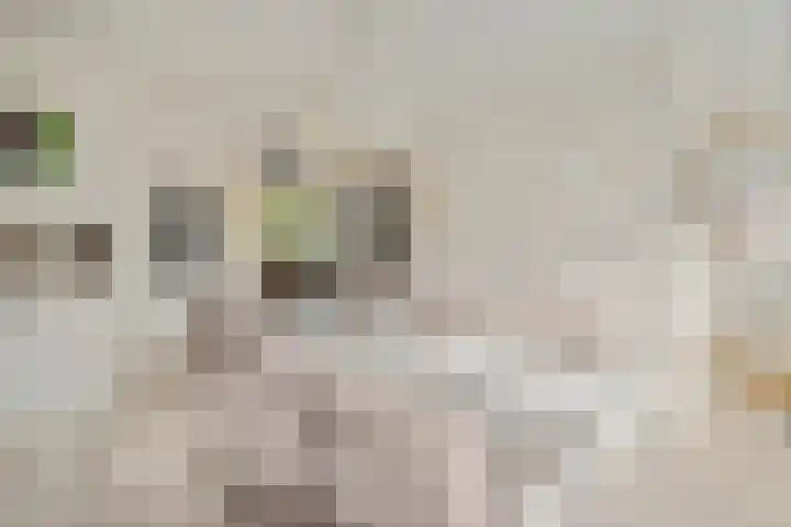 Koggewagen 1 Blaricum thumbnail 10