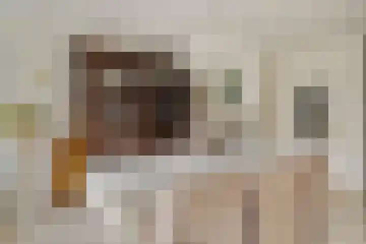 Koggewagen 1 Blaricum thumbnail 12