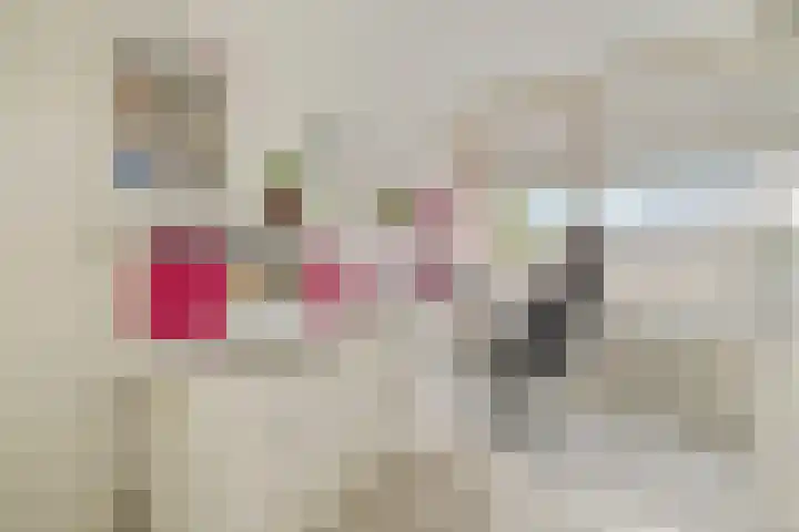 Koggewagen 1 Blaricum thumbnail 21