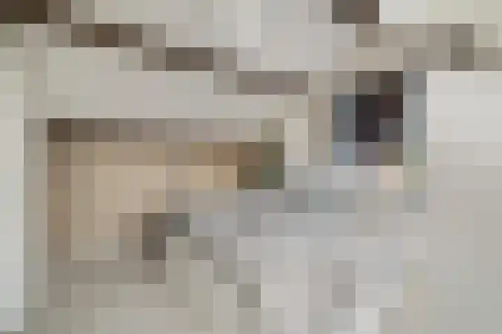 Koggewagen 1 Blaricum thumbnail 23