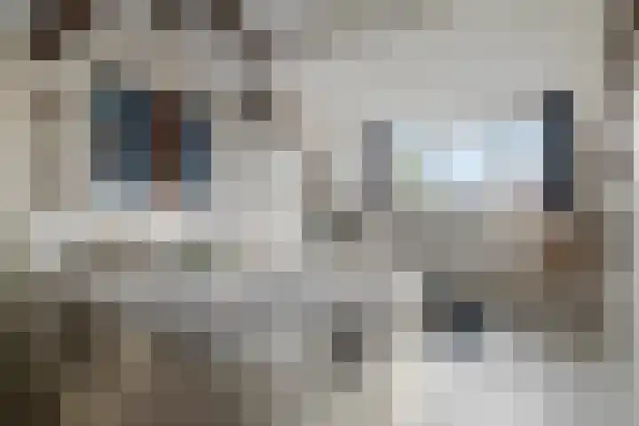Koggewagen 1 Blaricum thumbnail 24