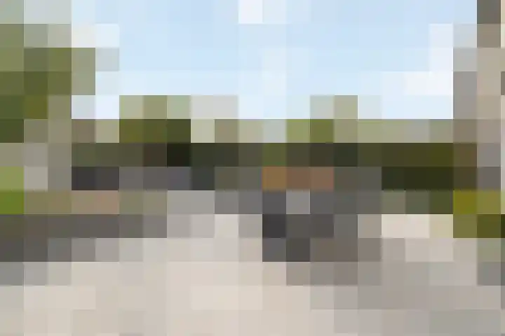 Koggewagen 1 Blaricum thumbnail 25