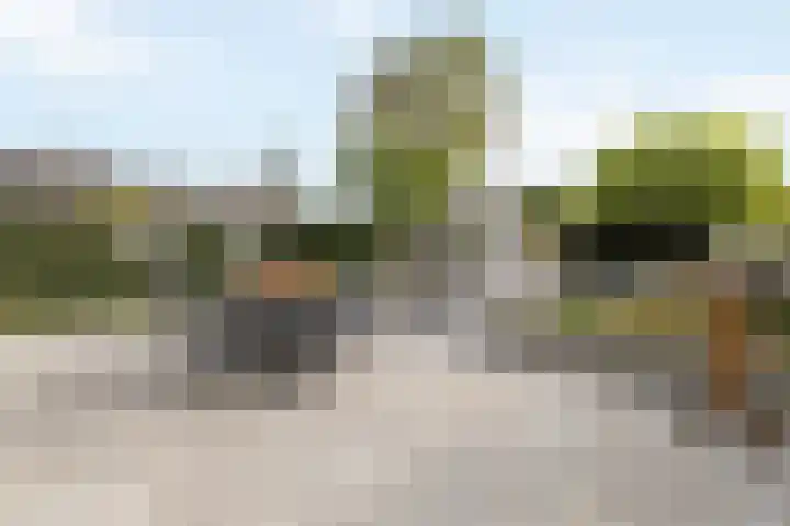 Koggewagen 1 Blaricum thumbnail 26