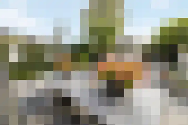 Koggewagen 1 Blaricum thumbnail 27