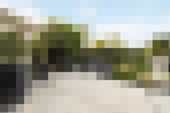 Koggewagen 1 Blaricum thumbnail 30