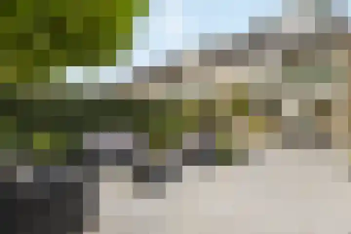 Koggewagen 1 Blaricum thumbnail 32