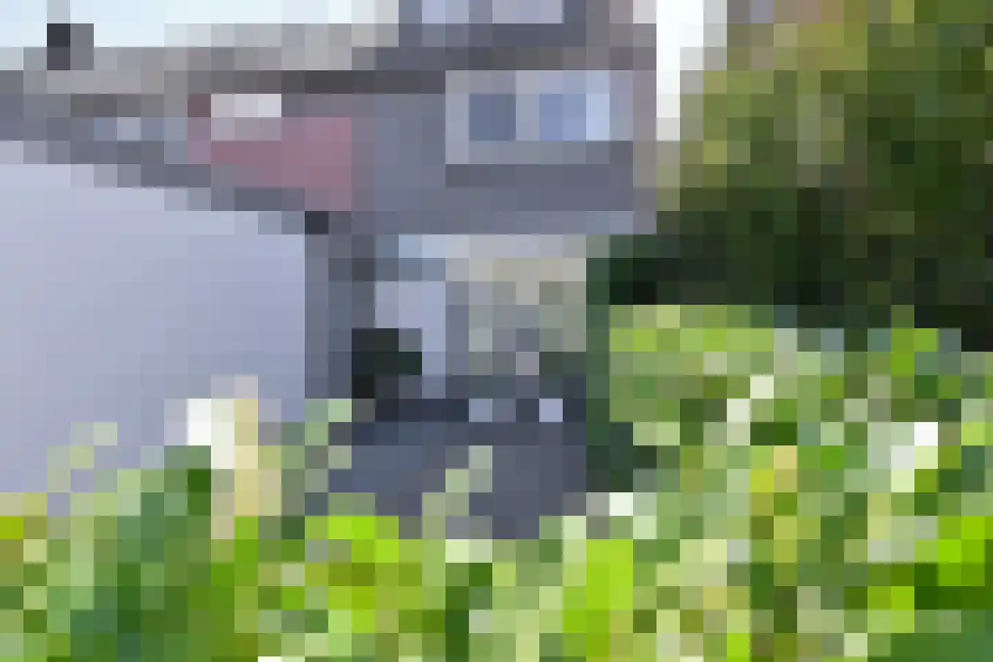 Koggewagen 15 Blaricum thumbnail 5